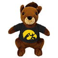 Iowa Hawkeyes Nutty Squirrel [Brown]