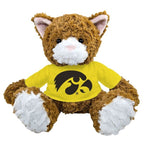 Iowa Hawkeyes Scratch Cat