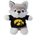 Iowa Hawkeyes Stubby Husky