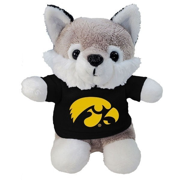 Iowa Hawkeyes Stubby Husky